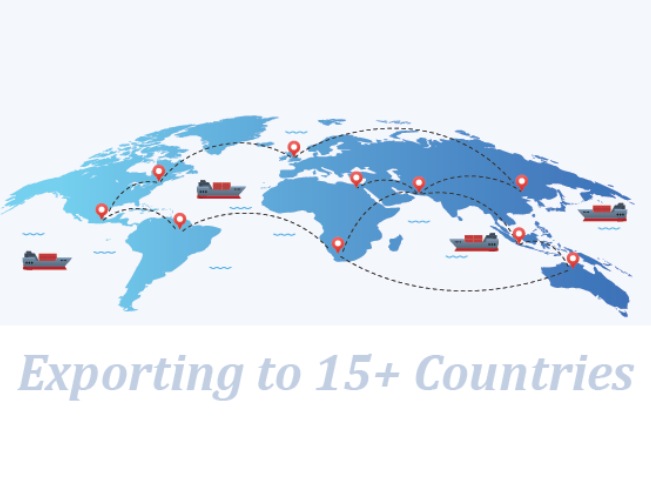 Global Presence & Dealer Network